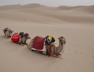 Wild Wild West – Xinjiang (part 2)